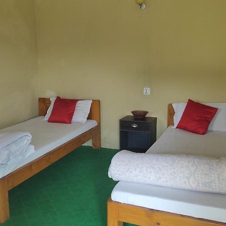 Peace Guesthouse Cottage ポカラ エクステリア 写真