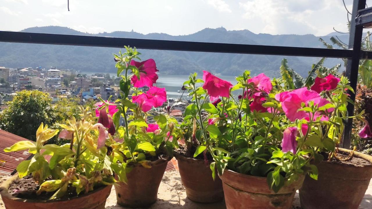 Peace Guesthouse Cottage ポカラ エクステリア 写真