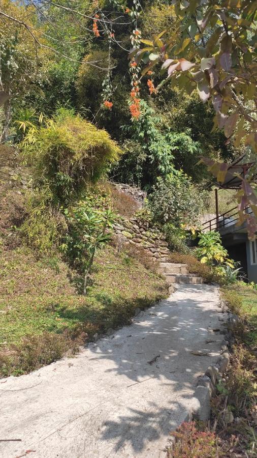 Peace Guesthouse Cottage ポカラ エクステリア 写真