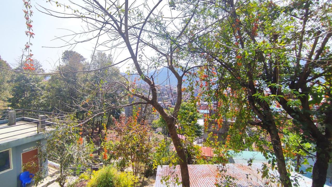 Peace Guesthouse Cottage ポカラ エクステリア 写真